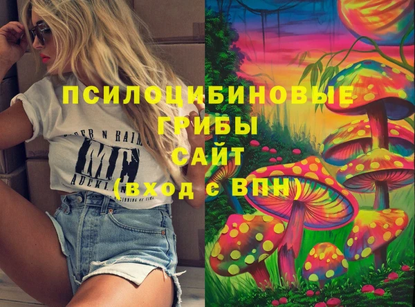 Альфа ПВП Абаза