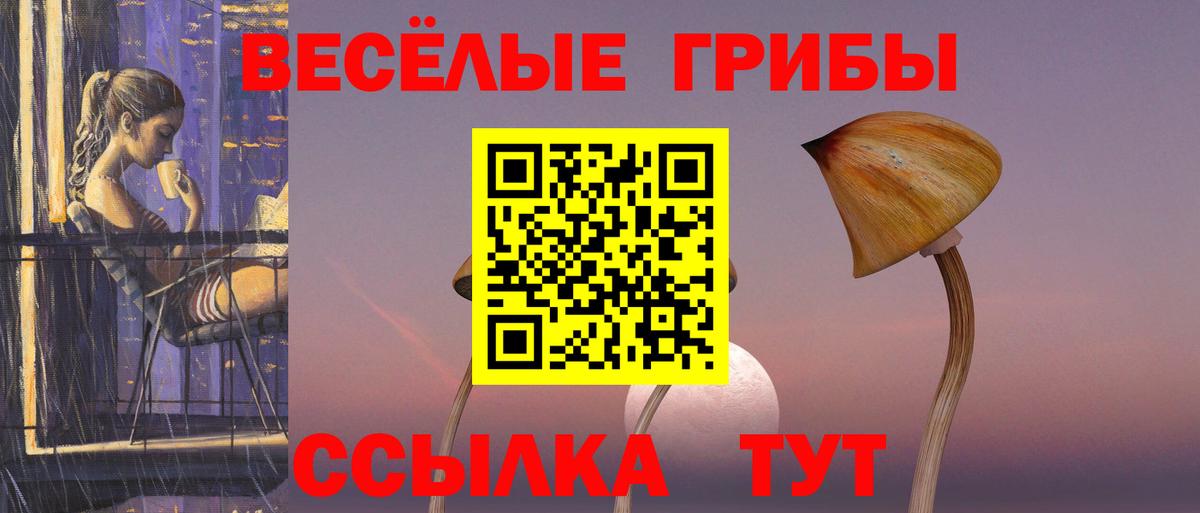 магазин продажи   Вход с VPN  Алатырь  Псилоцибиновые грибы мухоморы 